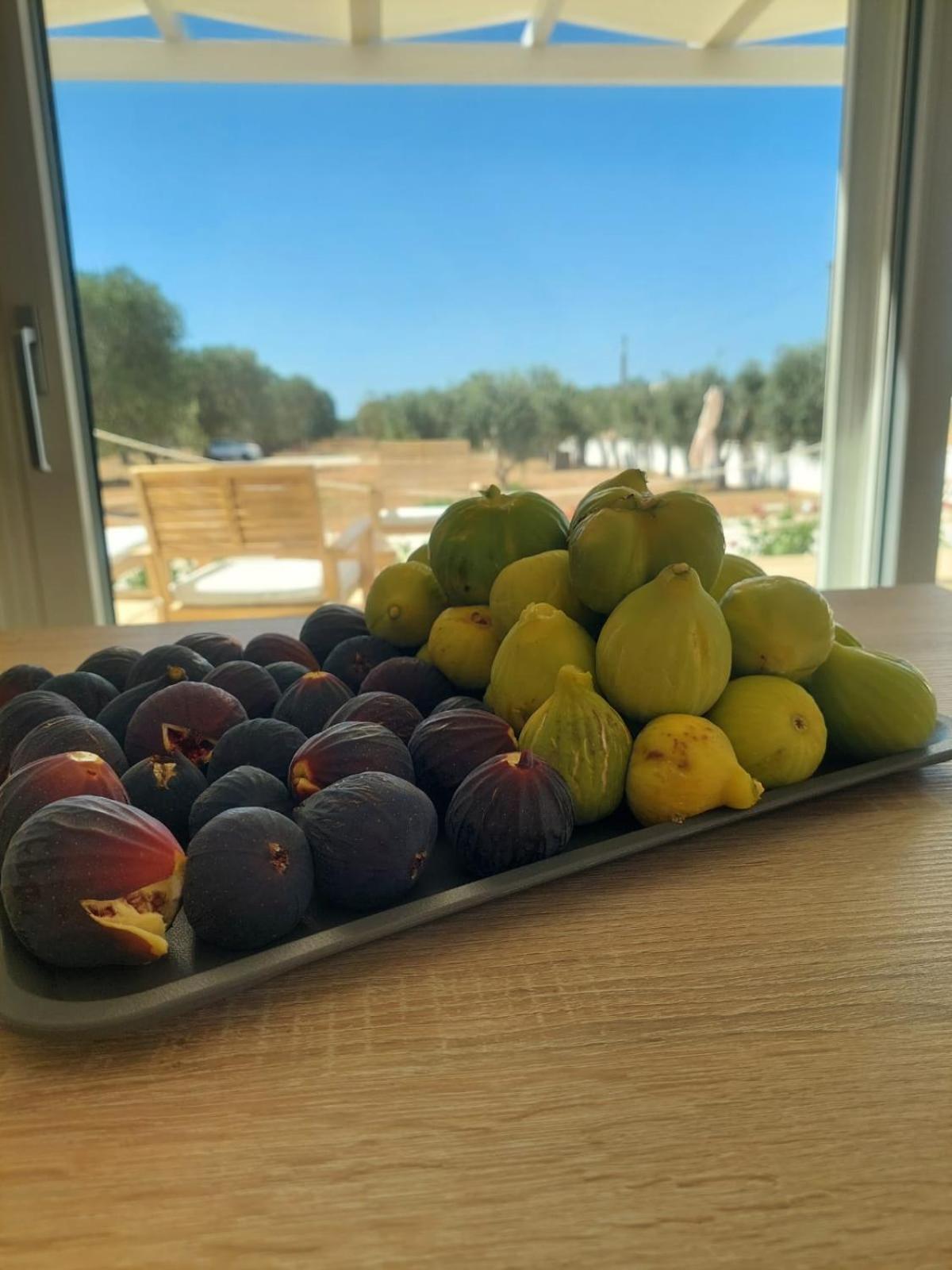 ليتسانو B&B Foglie D'Ulivo المظهر الخارجي الصورة